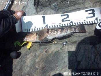 �����ʥ�