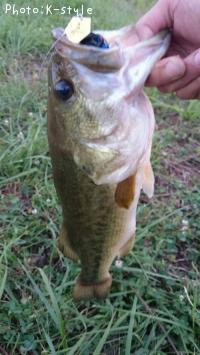 ¥Ö¥é¥Ã¥¯¥Ð¥¹