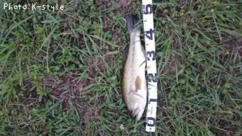 ¥Ö¥é¥Ã¥¯¥Ð¥¹