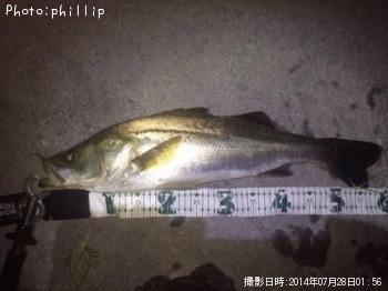 �����Х�