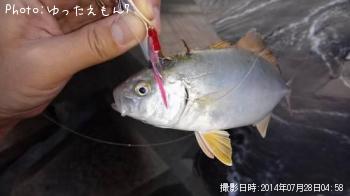 ����ѥ��λ�