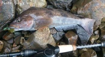 �����ʥ�