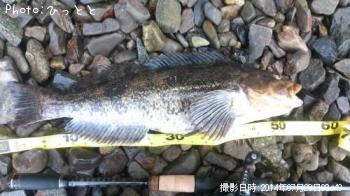 �����ʥ�