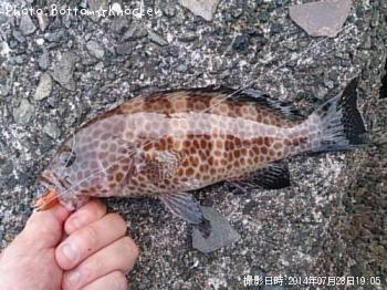 ¥ª¥ª¥â¥ó¥Ï¥¿