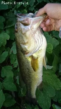 ¥Ö¥é¥Ã¥¯¥Ð¥¹