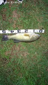 ¥Ö¥é¥Ã¥¯¥Ð¥¹