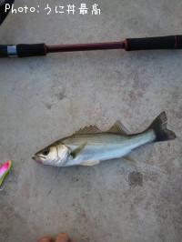 �����Х�