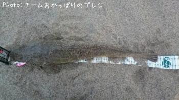 �ޥ���