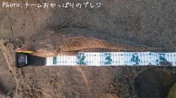 �ޥ���