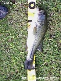 �֥�å��Х�