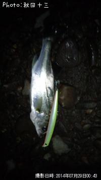 �����Ф���