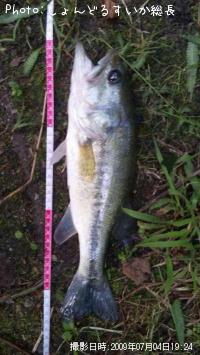 �֥�å��Х�