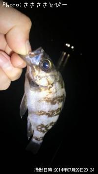 ���ץ�Х롪��