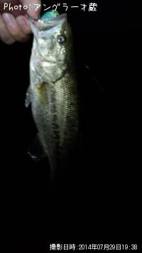 �֥�å��Х�