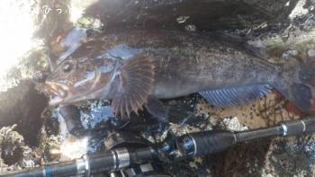 �����ʥ�