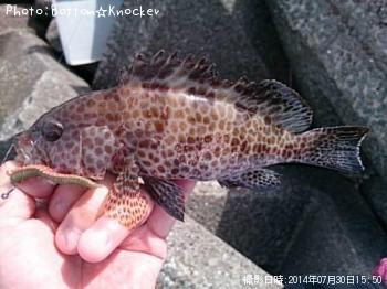 �������ϥ�