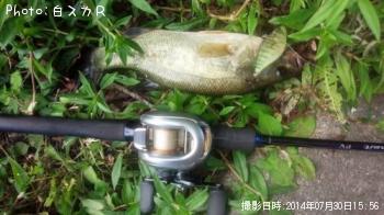 �顼���ޥ����Х�