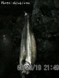 �����Х�