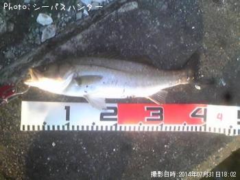 �����Х�