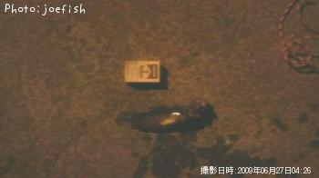 ¥¨¥¾¥¤¥½¥¢¥¤¥Ê¥á