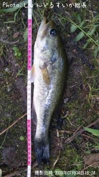 ¥Ö¥é¥Ã¥¯¥Ð¥¹