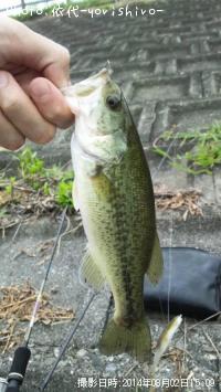 �֥�å��Х�