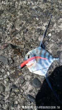 ���ȥҥ�������