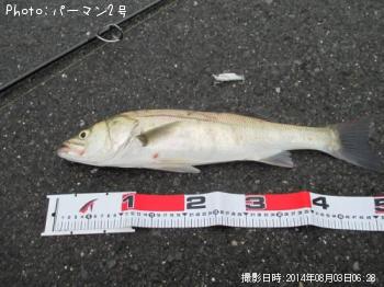 �����Х�