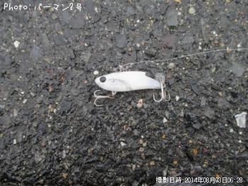 �����Х�