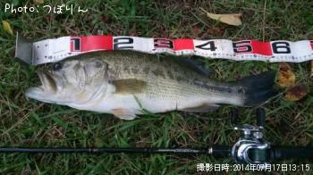 �֥�å��Х�