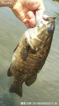 ���⡼��ޥ����Х�