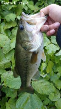 ¥Ö¥é¥Ã¥¯¥Ð¥¹