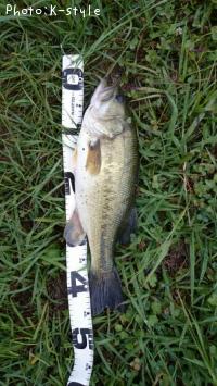 ¥Ö¥é¥Ã¥¯¥Ð¥¹