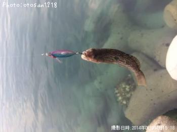 �����ʥ�