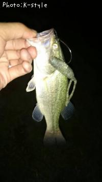 �֥�å��Х�