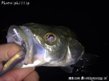 �����Х�