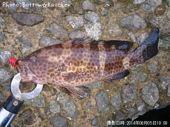 �������ϥ�