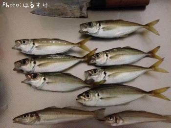 ��������������