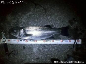 �ҥ饹����