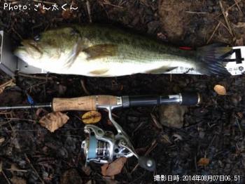 �֥�å��Х�