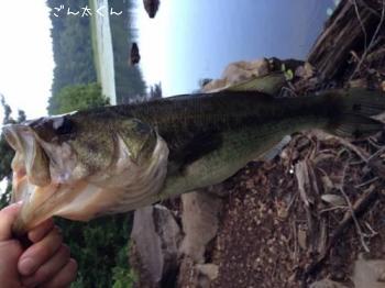 �֥�å��Х�