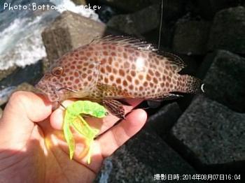 ¥ª¥ª¥â¥ó¥Ï¥¿