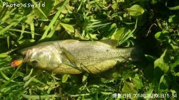 �֥�å��Х�