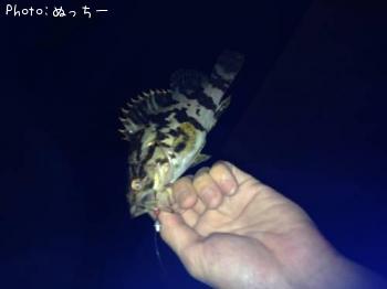 �٥å�������