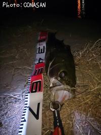 �����Х�