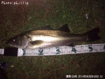 �����Х�