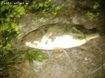 �֥�å��Х�