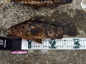 �����Υ���Х�