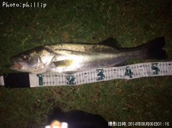 �����Х�