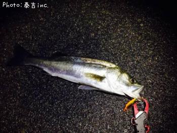 �����Х�